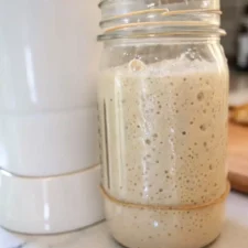How I Feed My Sourdough Starter at Home-image
