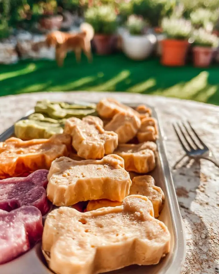 easy frozen dog treats