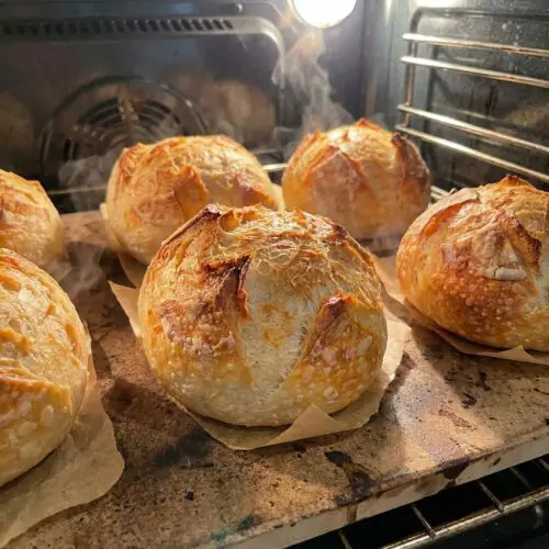 Easy Artisan Sourdough Rolls with Incredible Oven Spring